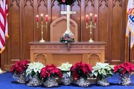 Sanctuary at Christmas